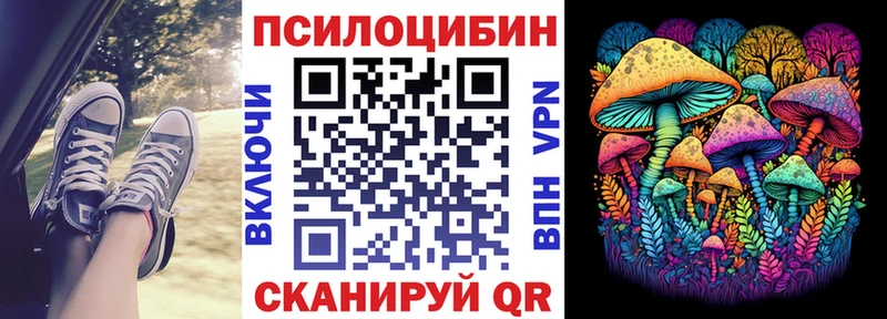 Купить где  Находка  Галлюциногенные грибы мицелий 